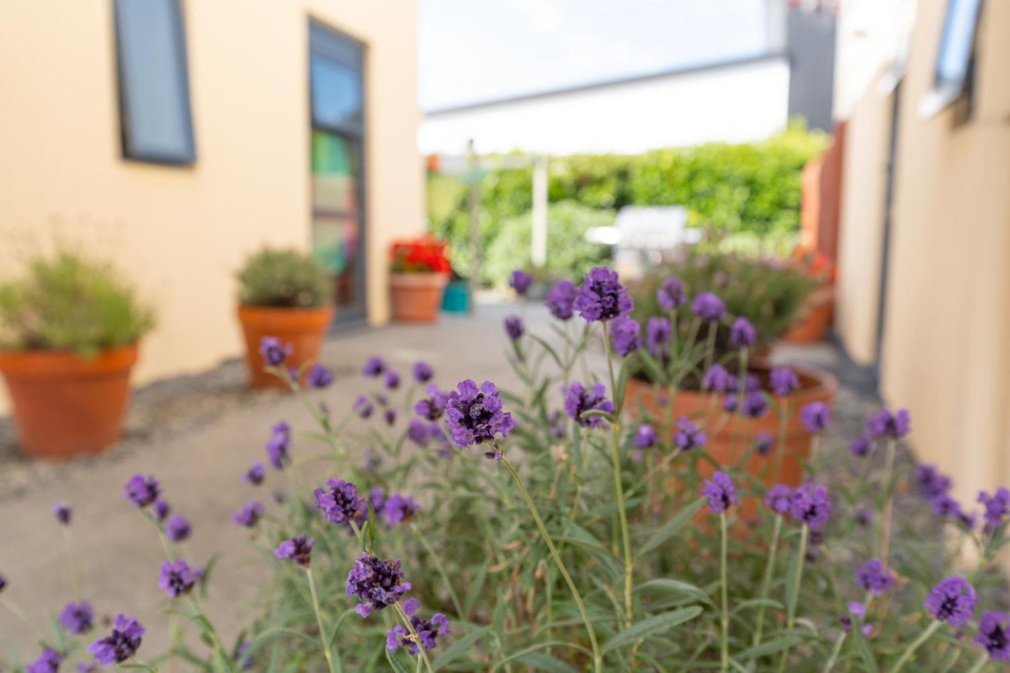 Bella Vista Motel Ashburton Zewnętrze zdjęcie
